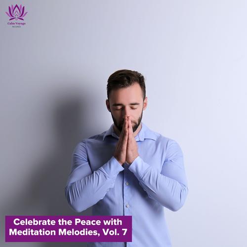 Celebrate the Peace with Meditation Melodies, Vol. 7