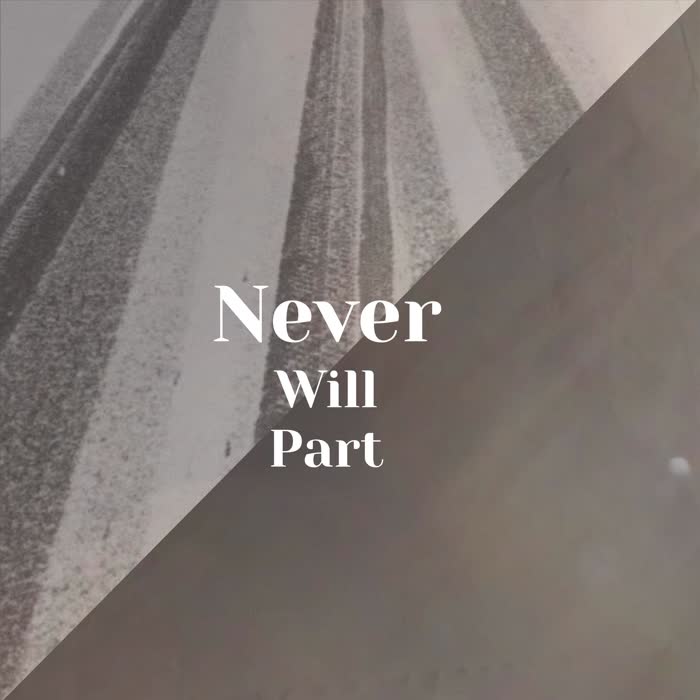 Never Will Part