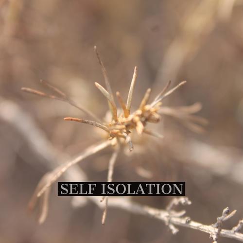 Self Isolation