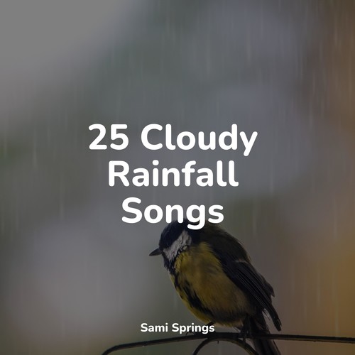 25 Cloudy Rainfall Songs