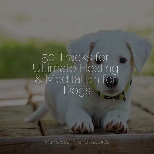 50 Tracks for Ultimate Healing & Meditation for Dogs