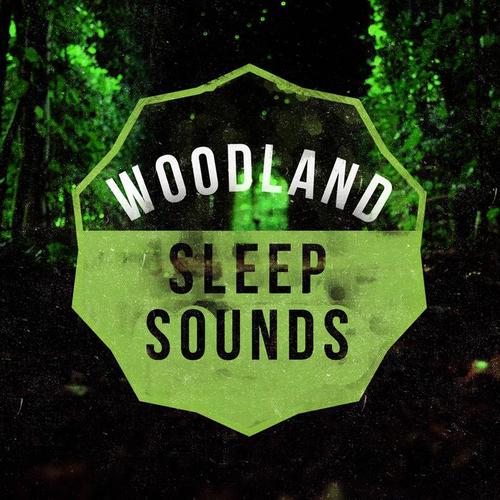 Woodland Sleep Sounds