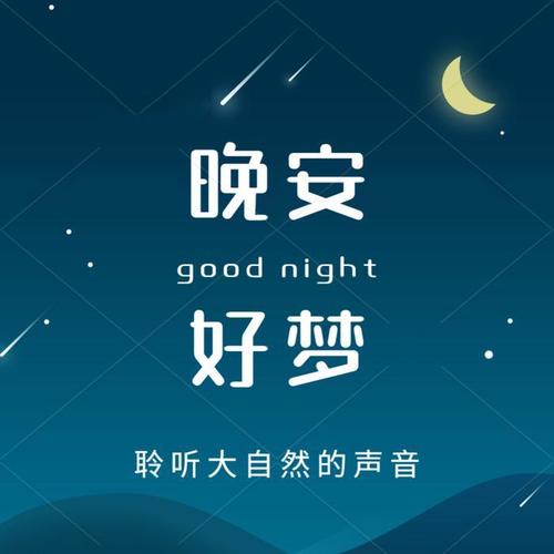 大自然白噪音：哄睡、助眠、放松、解压