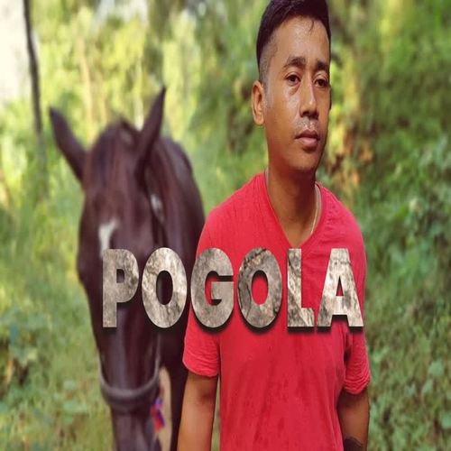 POGOLA