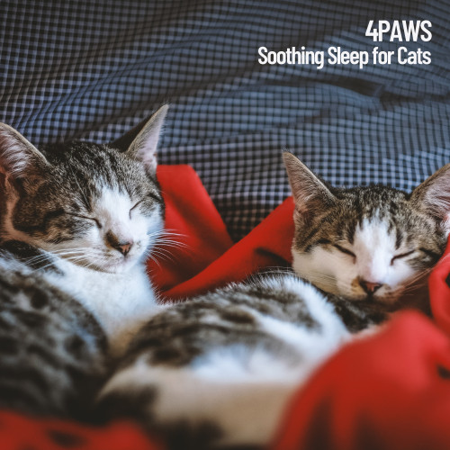 4Paws: Soothing Sleep for Cats