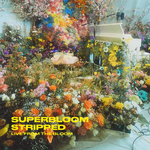 SUPERBLOOM (stripped) (live from the bloom)