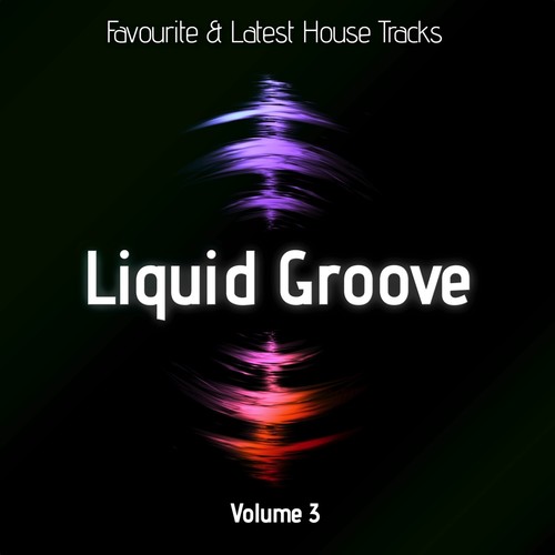 Liquid Groove, Vol. 3
