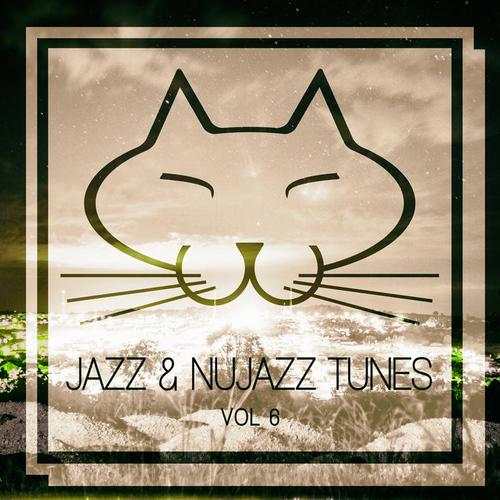 Jazz & Nujazz Tunes, Vol. 6