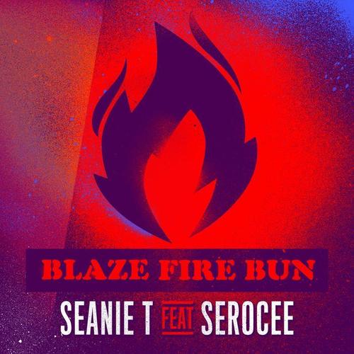 Blaze Fire Bun