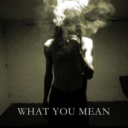 WHAT YOU MEAN (Explicit)