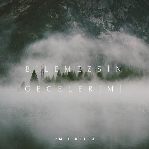 Bilemezsin Gecelerimi (Explicit)