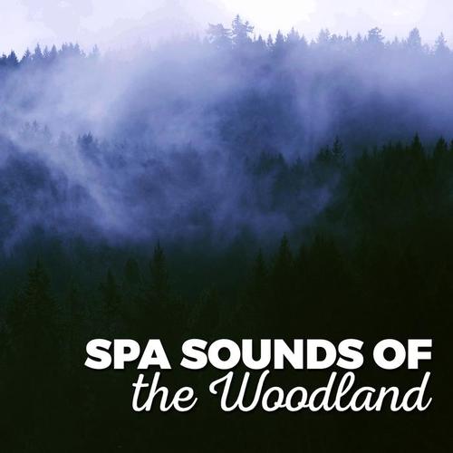 Spa Sounds of the Woodland