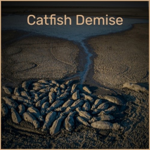 Catfish Demise