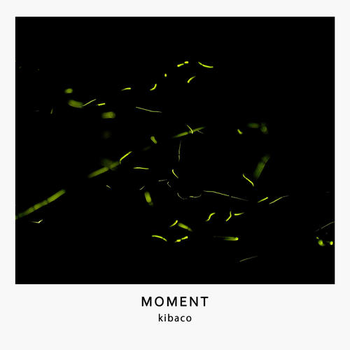 Moment