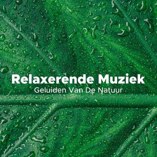 Relaxerende Muziek - Geluiden Van De Natuur