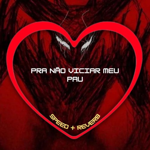 Pra Não Viciar Meu Pau (Speed + Reverb) [Explicit]