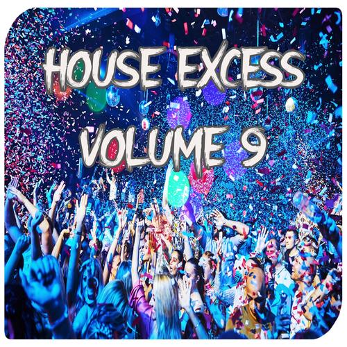 House Excess, Vol.9