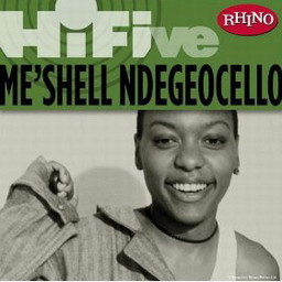 Rhino Hi-Five: Me'Shell Ndegeocello