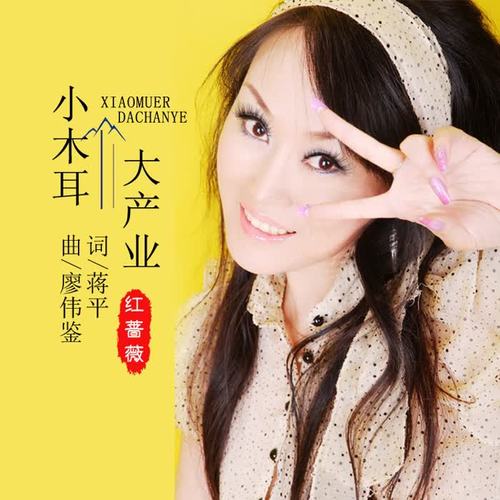 小木耳 大产业