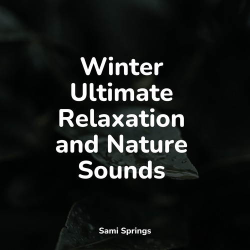 Winter Ultimate Relaxation and Nature Sounds