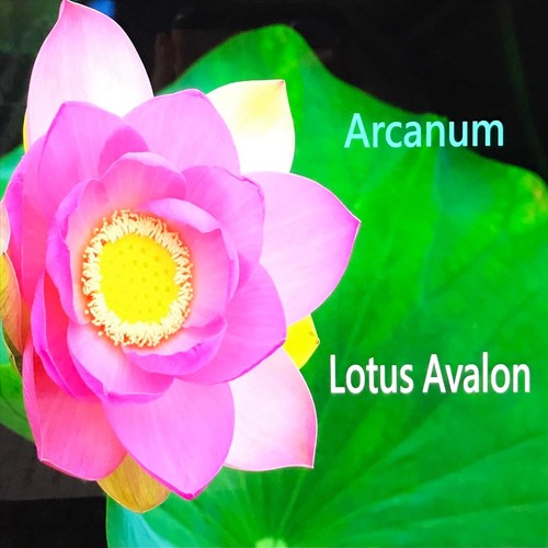 Lotus Avalon