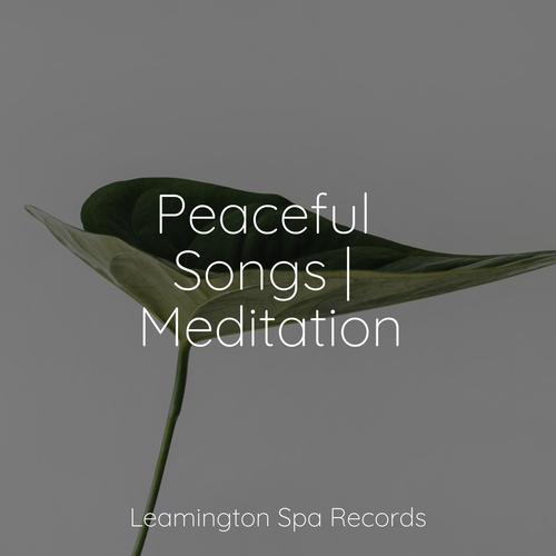 Peaceful Songs | Meditation