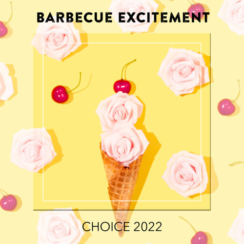 Barbecue Excitement CHOICE 2022