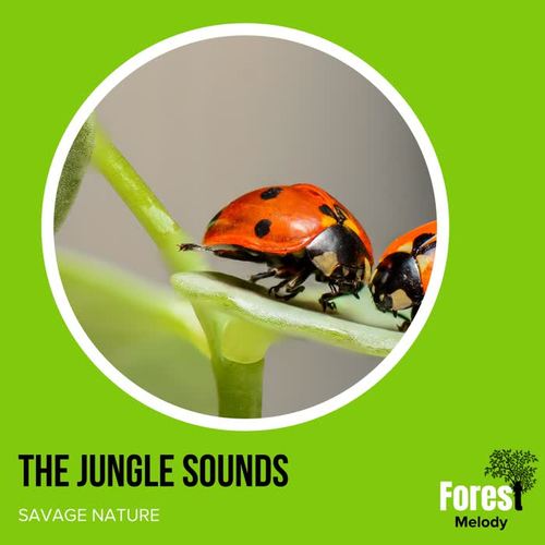 The Jungle Sounds - Savage Nature