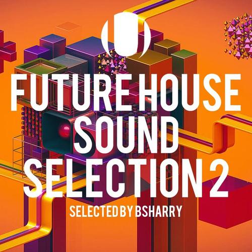 Future House Sound Selection, Vol. 2 (Selected by Bsharry)