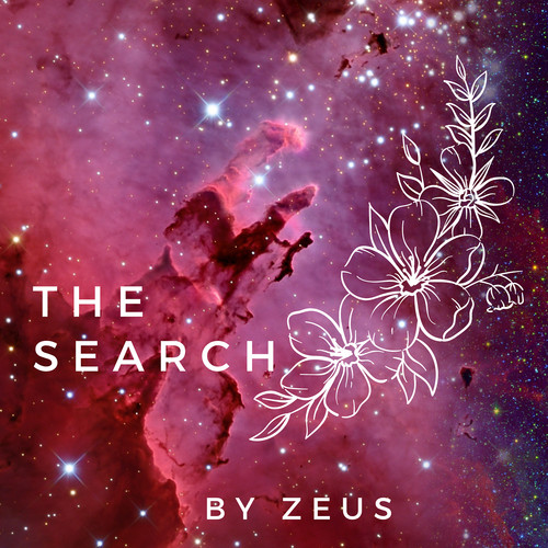 The Search