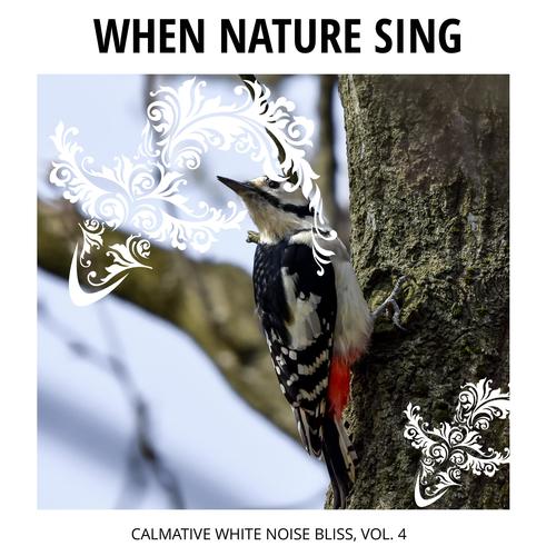 When Nature Sing - Calmative White Noise Bliss, Vol. 4