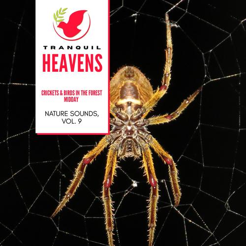Crickets & Birds in the Forest Midday - Nature Sounds, Vol. 9
