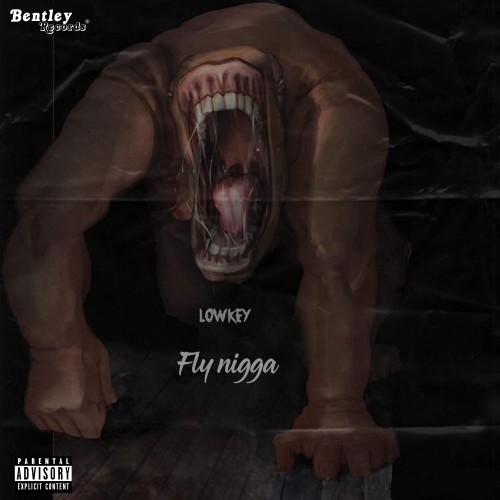 Fly Nigga (Explicit)