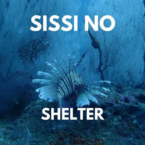 Shelter