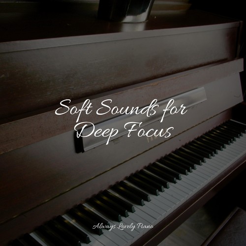 Soft Sounds for Deep Focus