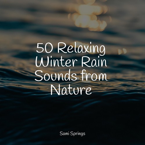 50 Relaxing Winter Rain Sounds from Nature