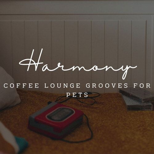 Jazz Paws and Harmony: Coffee Lounge Grooves for Pets