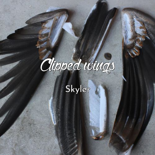 Clipped wings (Explicit)