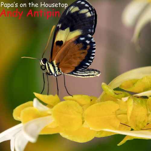 Papa's on the Housetop