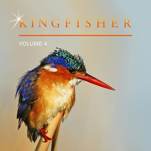 Kingfisher, Vol. 4