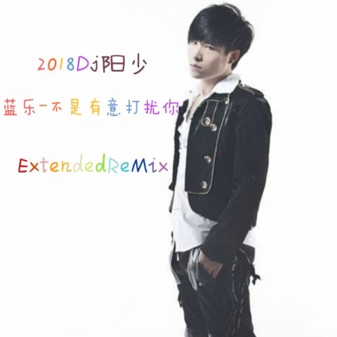 蓝乐-不是有意打扰你 (2018Dj阳少ExtendedReMix)