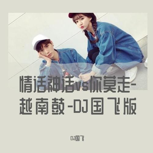 情话神话vs你莫走越南鼓(DJ国飞版)