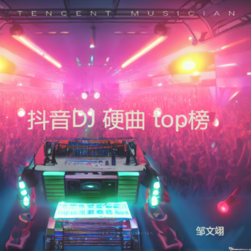 抖音DJ 硬曲 top榜