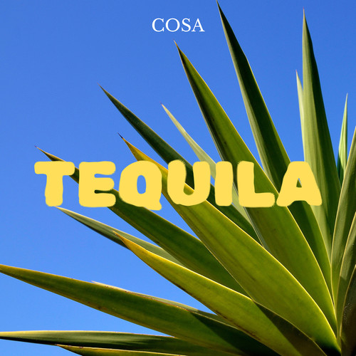 TEQUILA (Explicit)