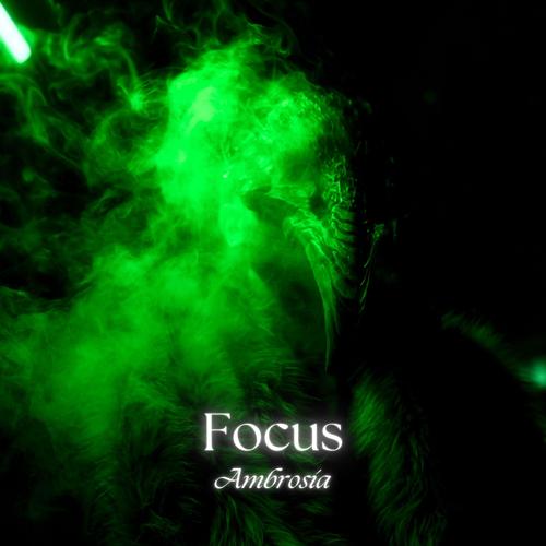 Focus