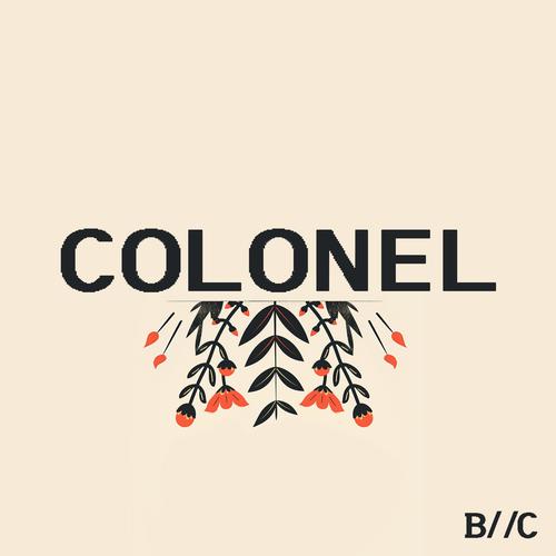 Colonel