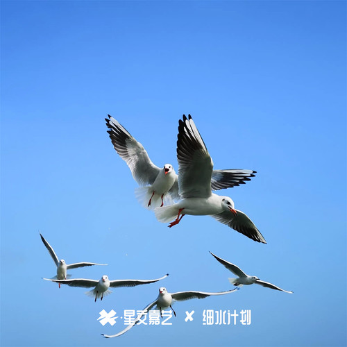 失去的也不挽留