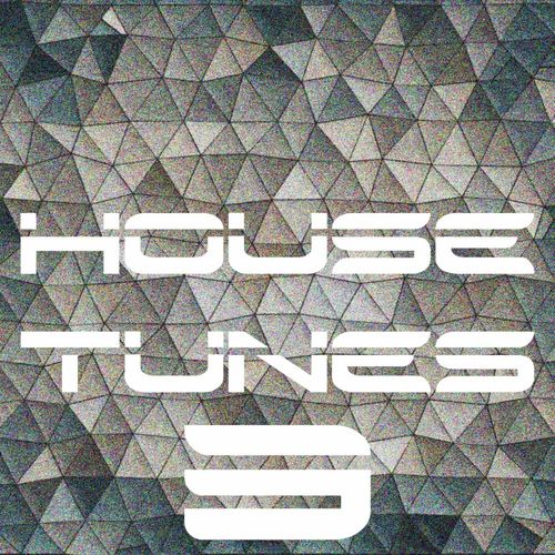 House Tunes, Vol. 2