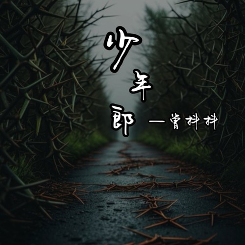 《少年郎》