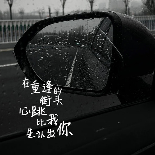 在重逢的街头心跳比我先认出你